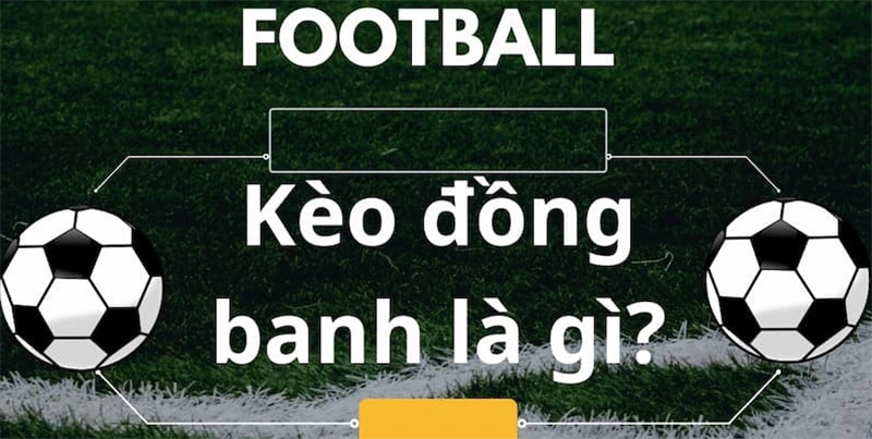 Sơ lược thông tin về kèo đồng banh 77Bet