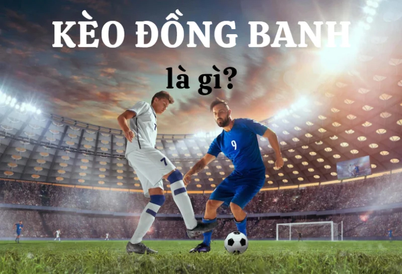 3 Phút Nắm Gọn Thông Tin Kèo Đồng Banh 77Bet Và Mẹo Chinh Phục Dễ Dàng