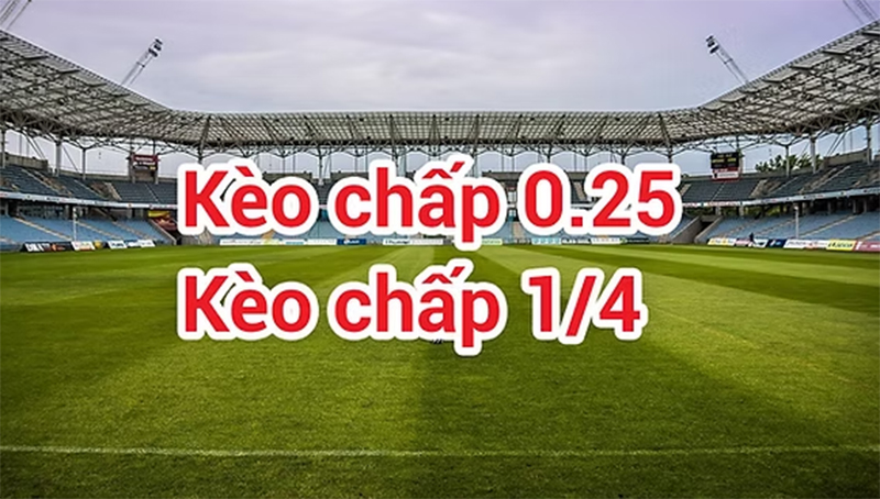 Lưu ý cần thiết khi cược kèo ¼ 77Bet