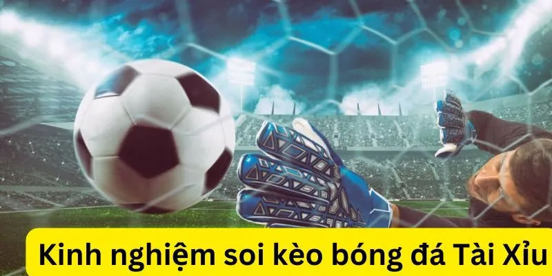 Những lưu ý cần thiết khi chơi kèo tài xỉu tại 77Bet